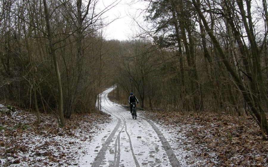 Bikerka i zimowy WPN