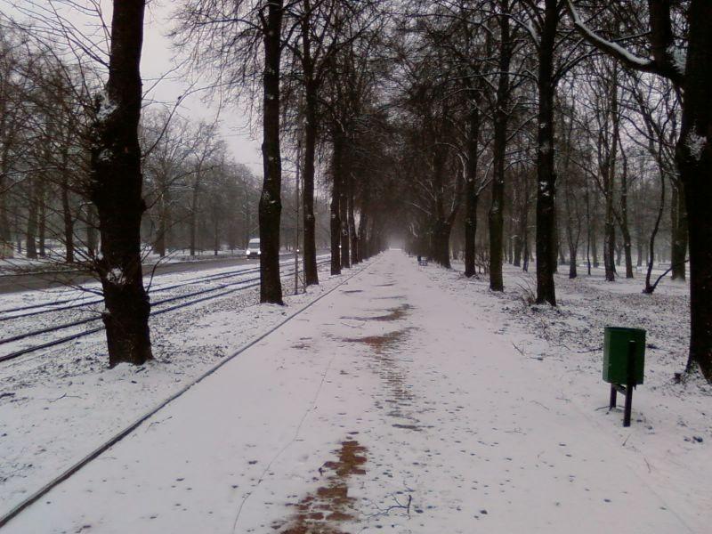 Konstantynowska