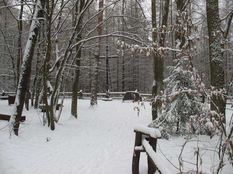 Pomnik na miejscu katastrofy lotniczej