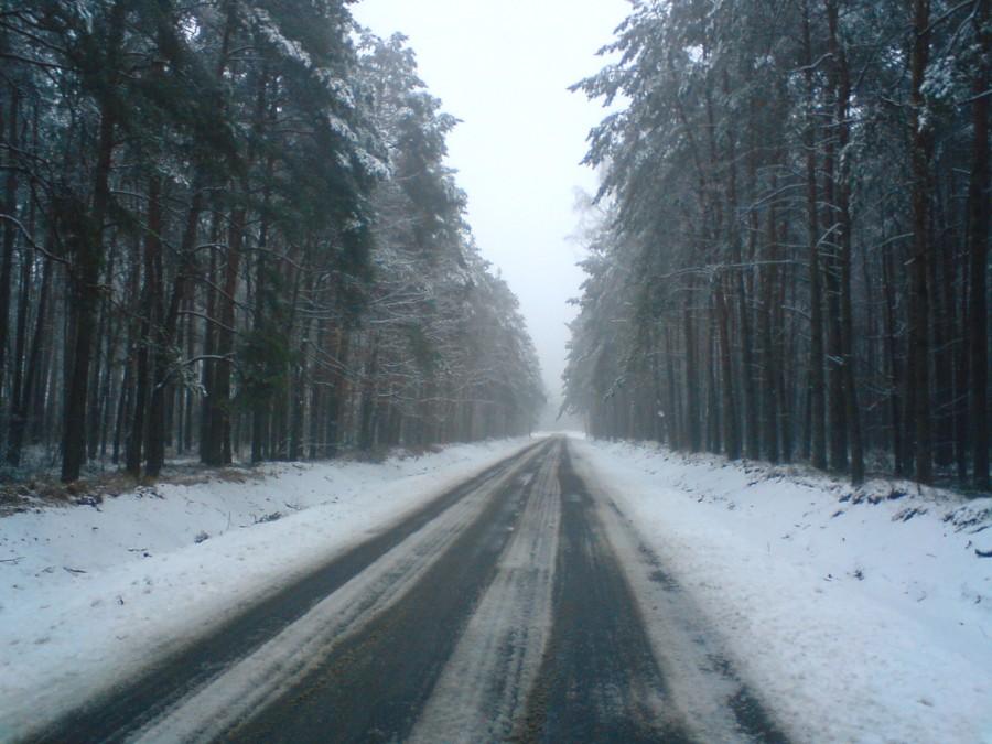 Czarny szlak rowerowy - z Częstochowy do Olsztyna