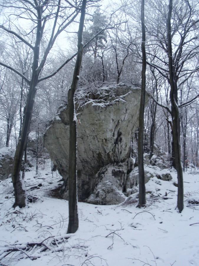 W okolicach Ostrężnika