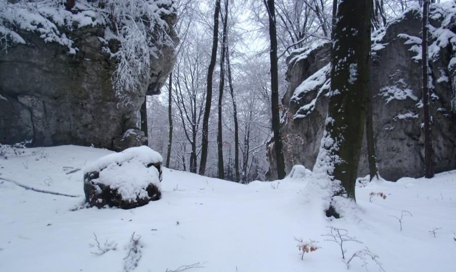 Skałki jurajskie zimą