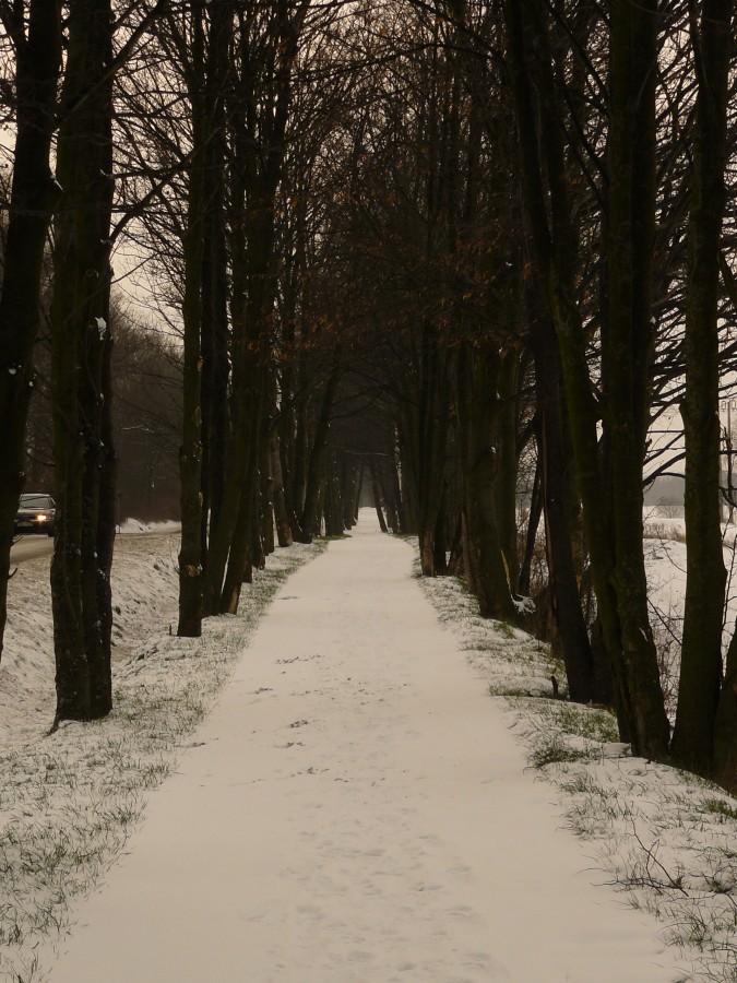 Zimą na ścieżce też może być fajnie ;)