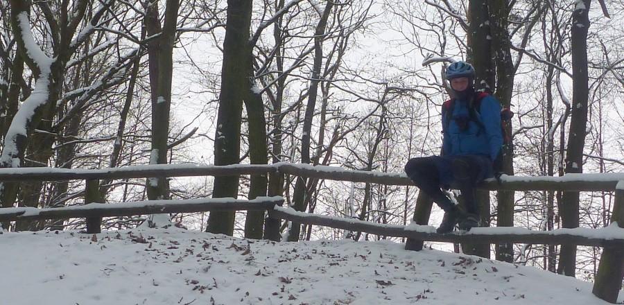 Zamczysko 2010