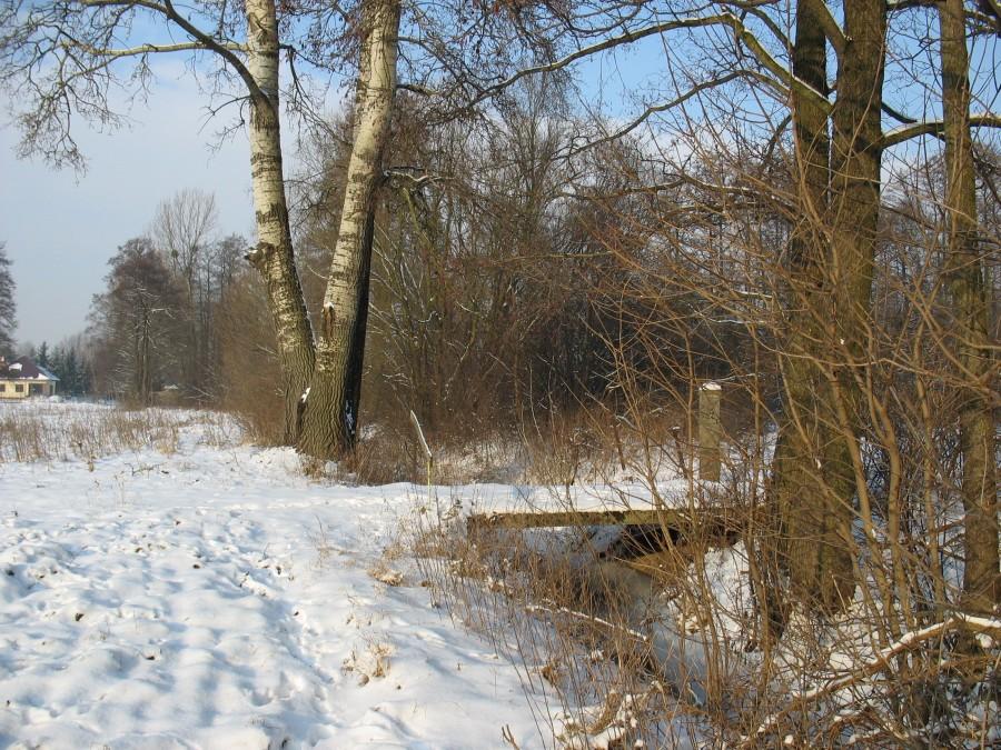 Mrówka