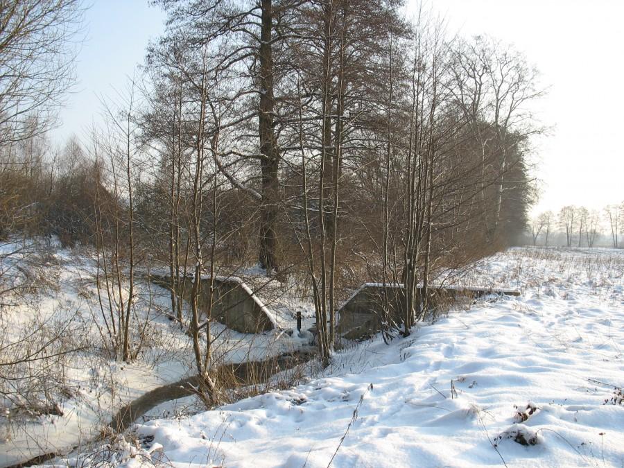 Mrówka