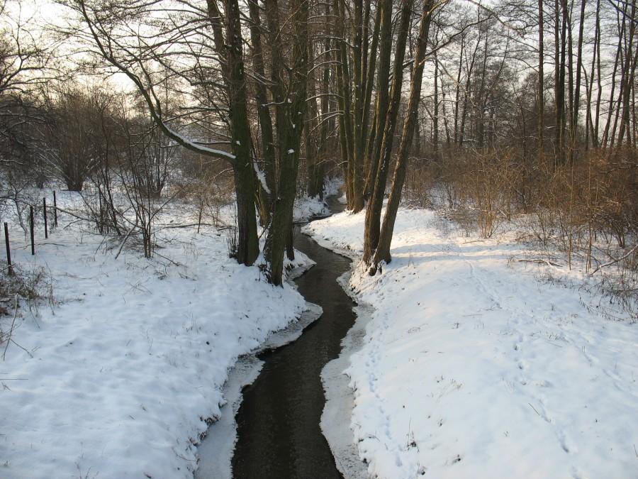 Zimna Woda