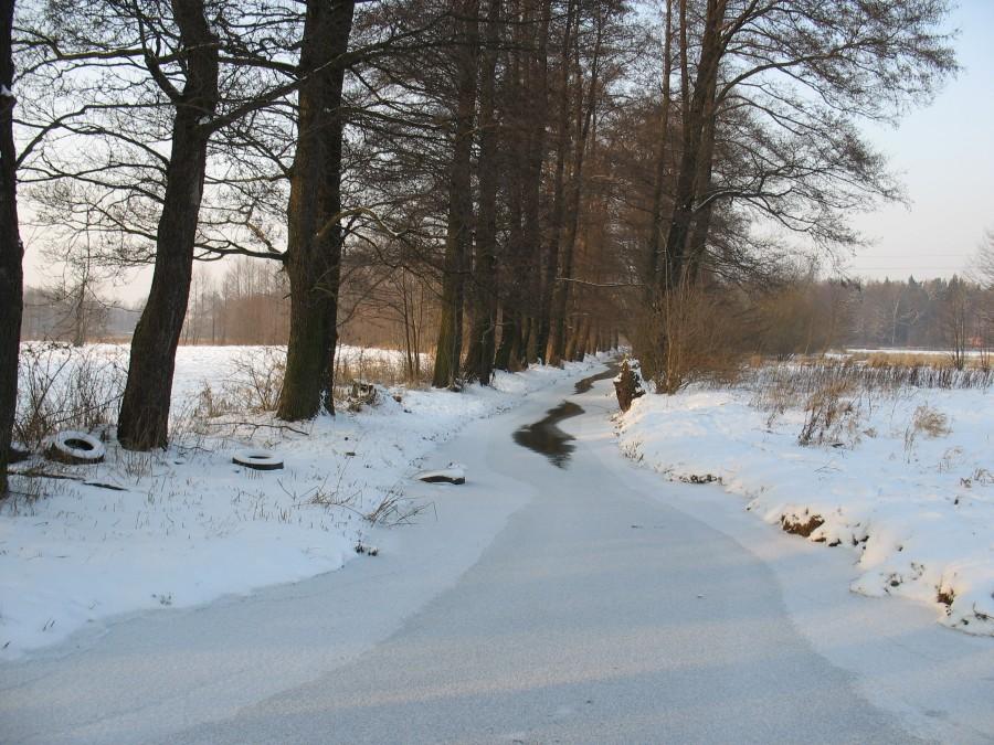 Zimna Woda