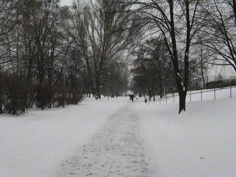 Zimowy Park Hallera