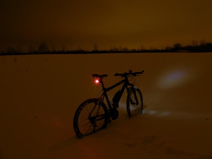 Zima nocą w Lasku Marcelińskim