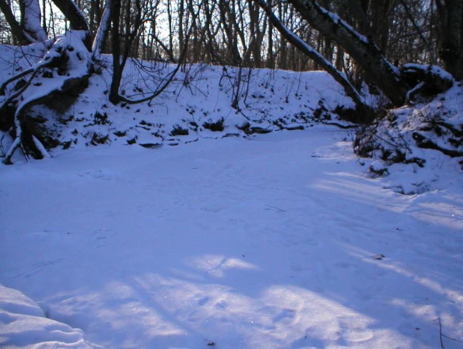 BAŻANTARNIA-KUMIELA