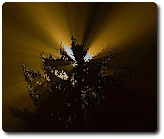 lux in tenebris
