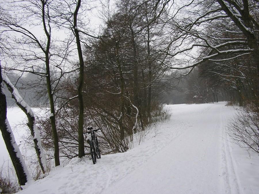 Zimowo nad Rusałką
