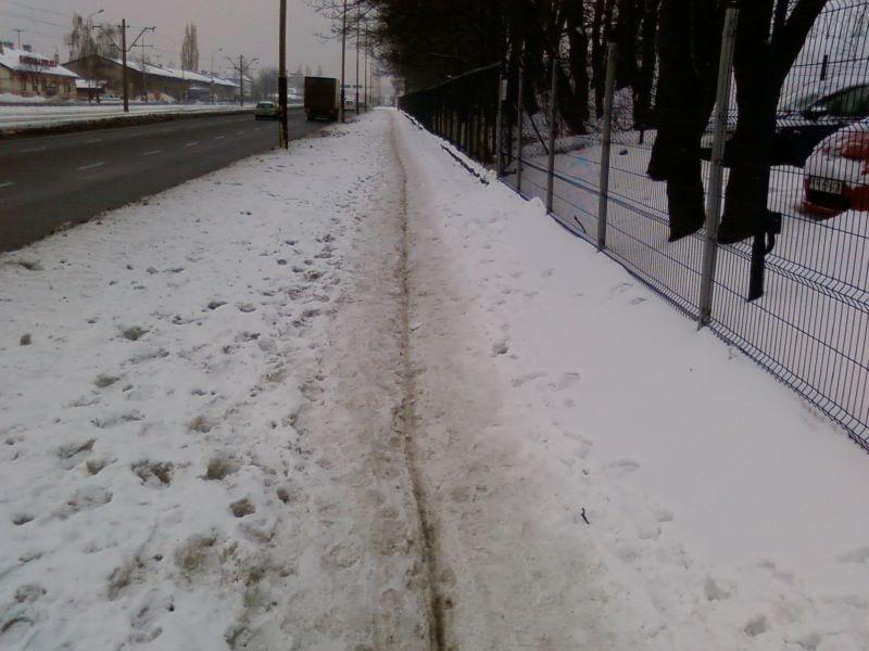 Koleina