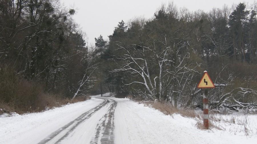 Zimowa droga przez poligon