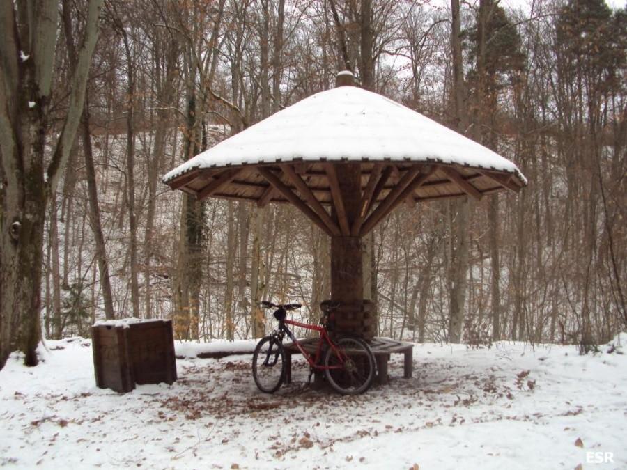 Bażantarnia - Parasol