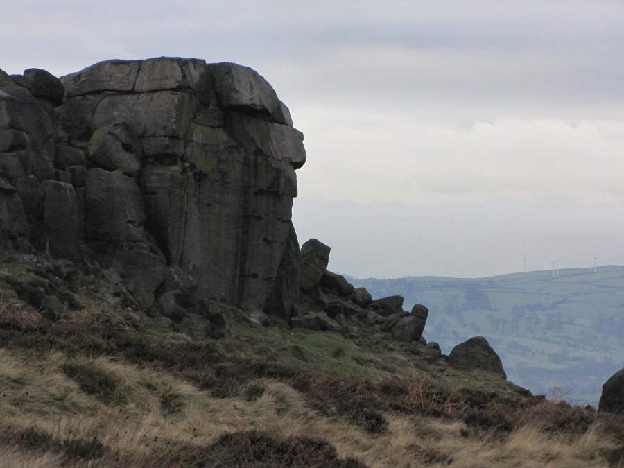 The Cow and The Calf