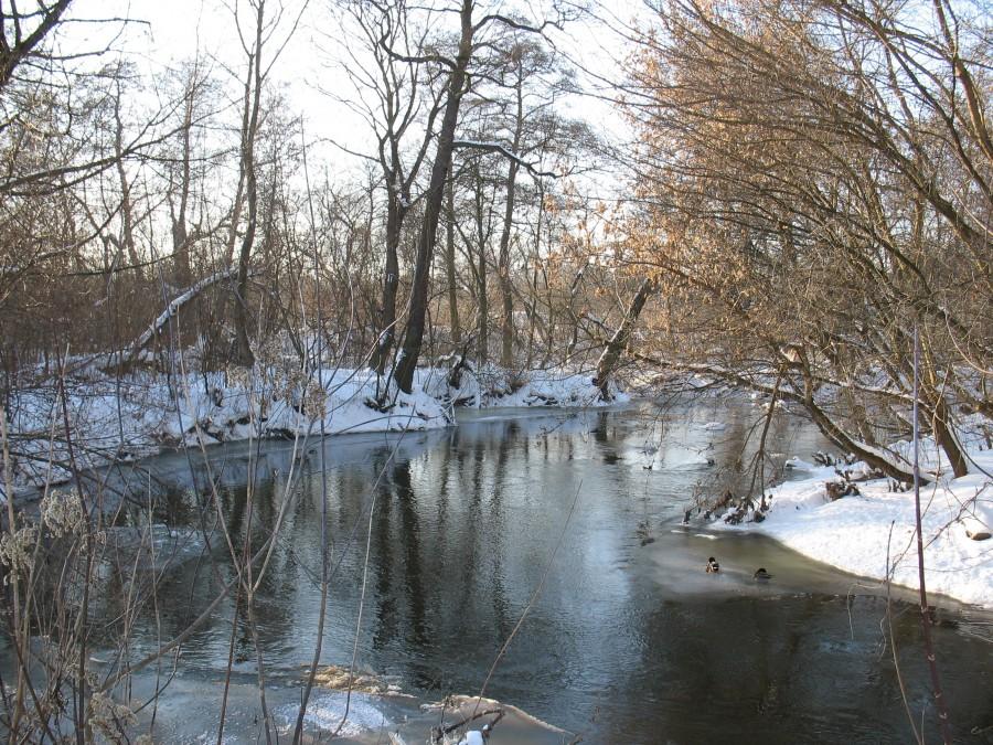 Meandry Jeziorki