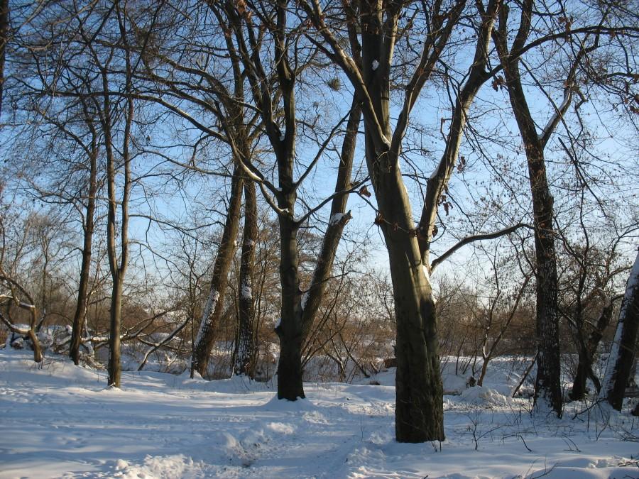 Chyliczki - brzeg Jeziorki