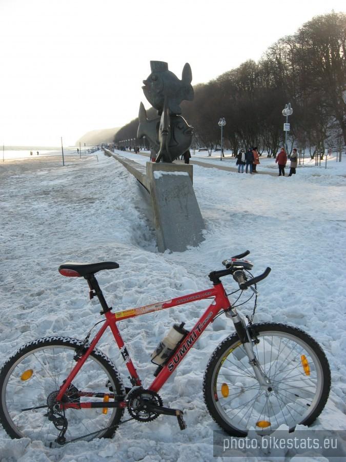 Przy gdyńskich rybkach