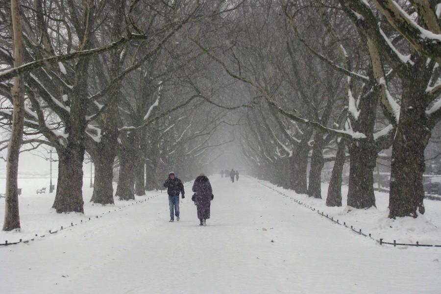 Park w śniegu
