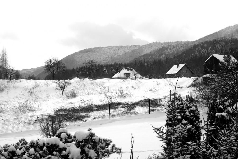 widok z okna