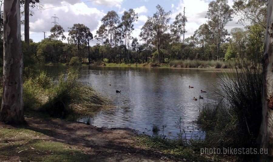 Scrubby Creek [Logan City, QLD, Australia]