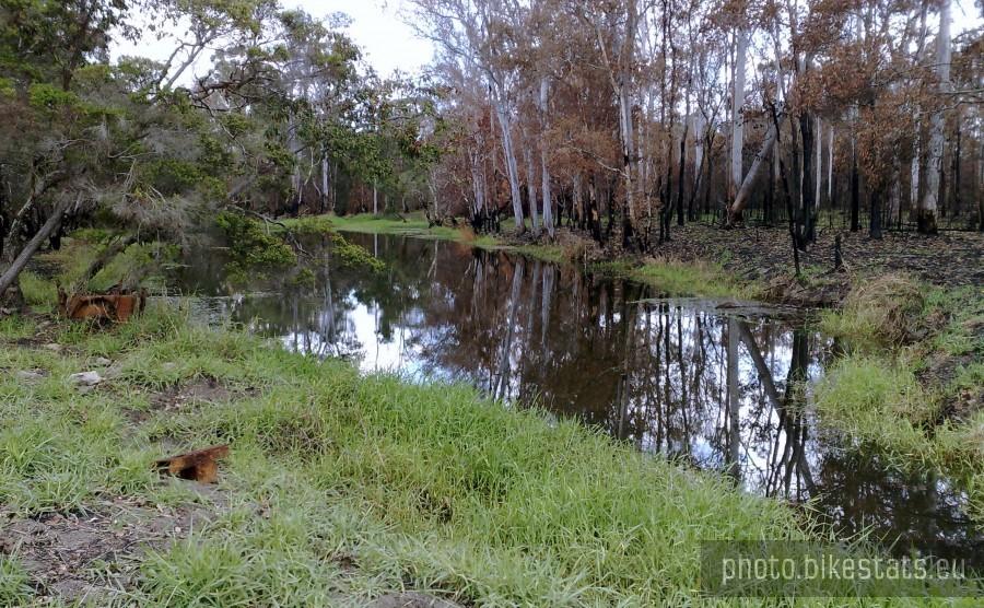 Scrubby Creek [Logan City, QLD, Australia]