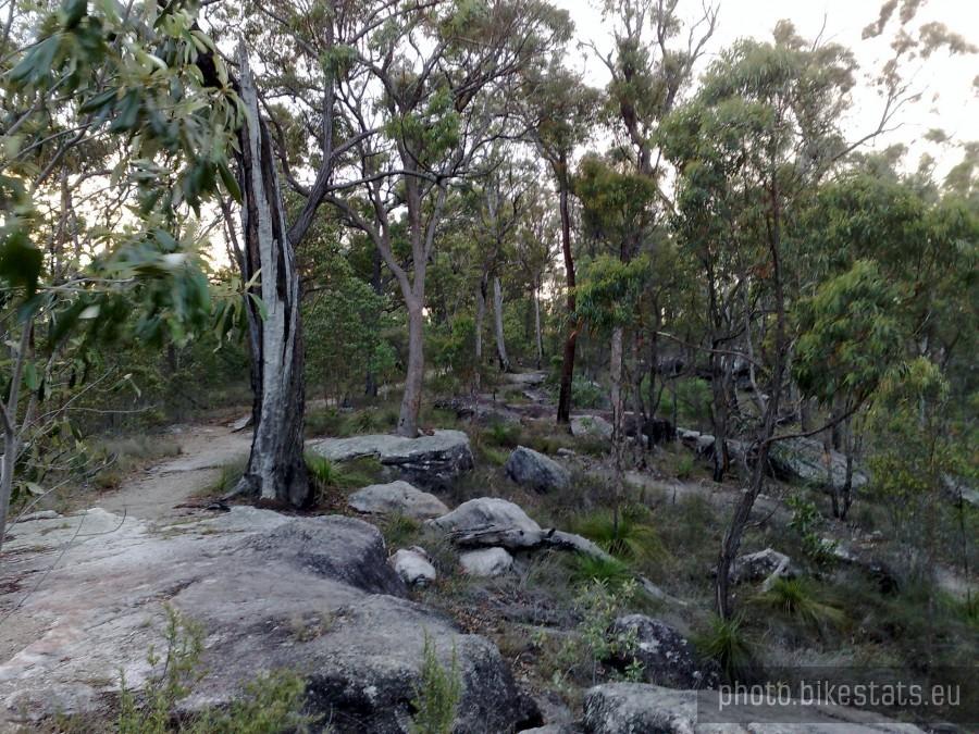 Karawatha Forest [Logan City, QLD, Australia]
