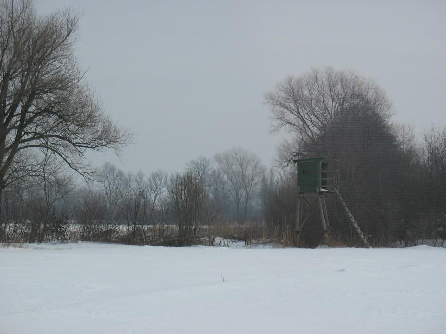 Ambona na polach pod Kopaną