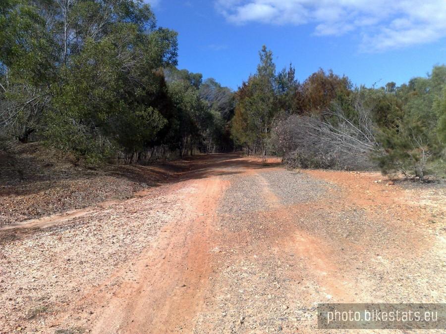 Daisy Hill Conservation Park [Logan City, QLD, Australia]