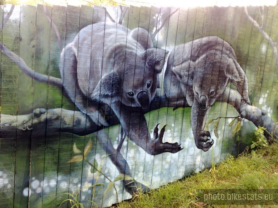 Daisy Hill Conservation Park [Logan City, QLD, Australia]