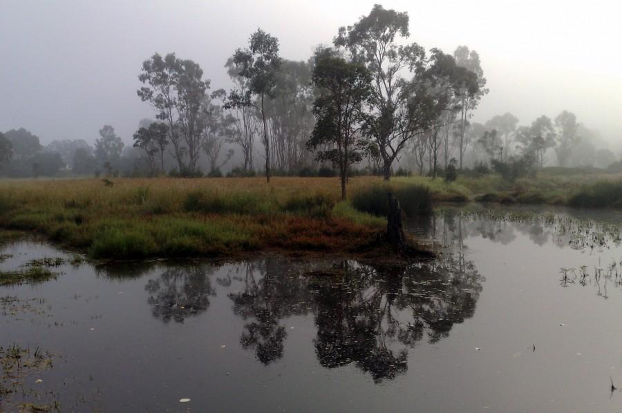 Poranek w Slacks Creek [Logan City, QLD, Australia]