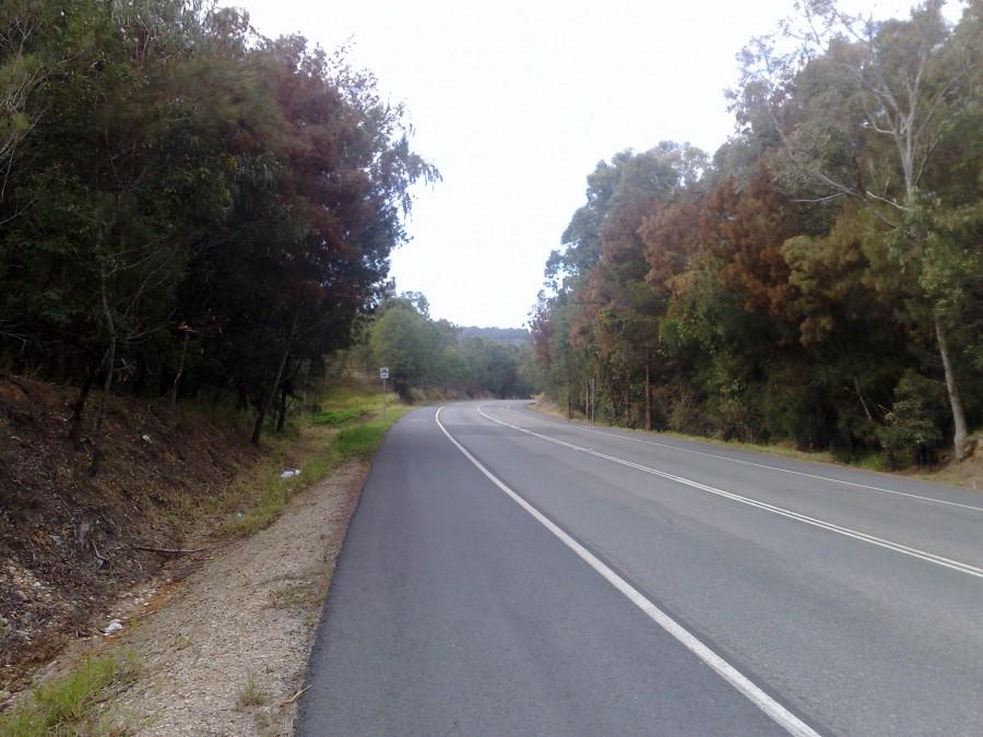 W drodze na Gold Coast [Logan City, QLD, Australia]