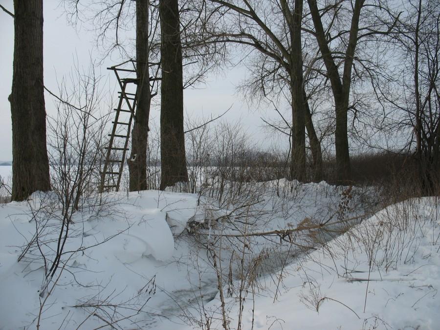 Terenia - zwyżka myśliwska nad strumykiem