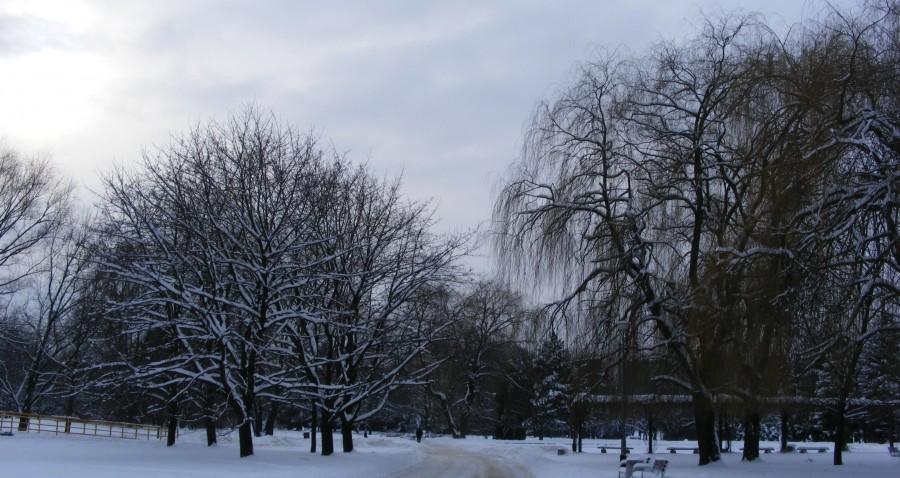W parku nad Wisłokiem