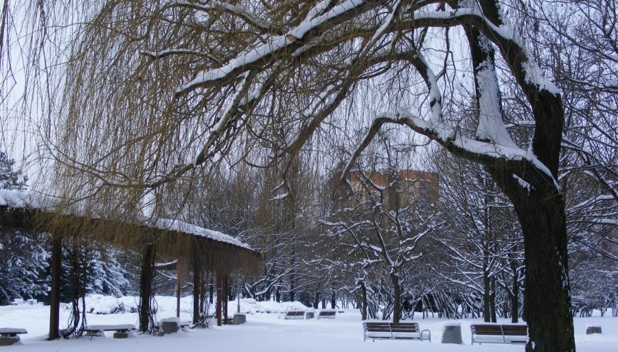 Park po raz kolejny