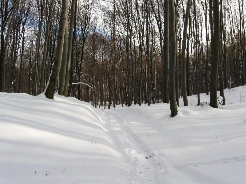 Masa śniegu.