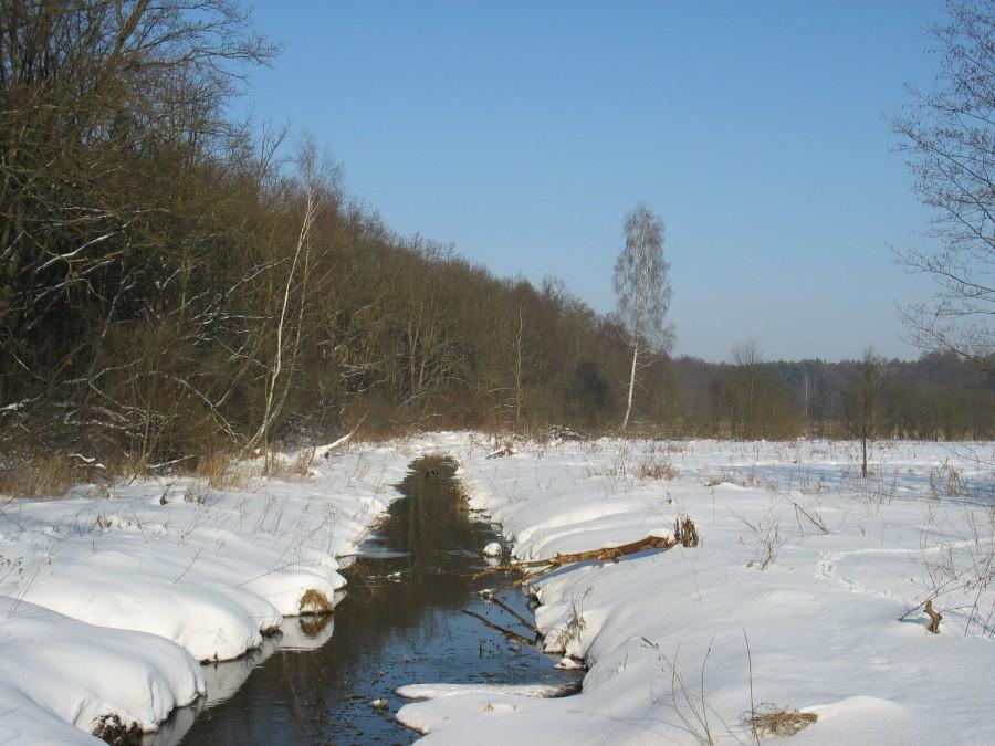 Uroczysko Zegrze