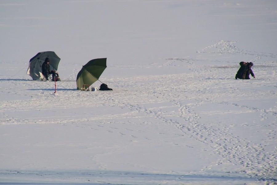 pod parasolem