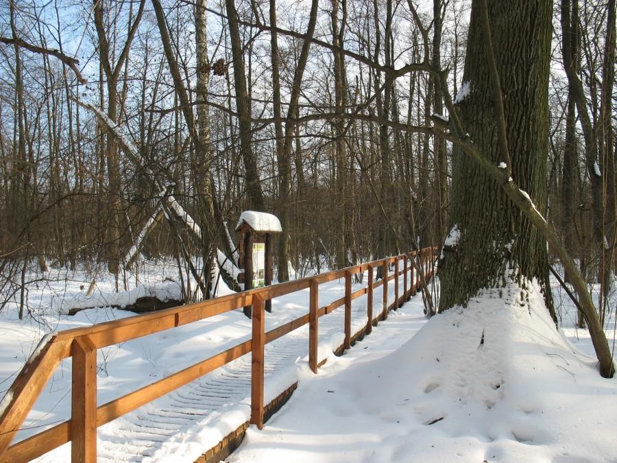 Strumień pod Zdrojową Górą