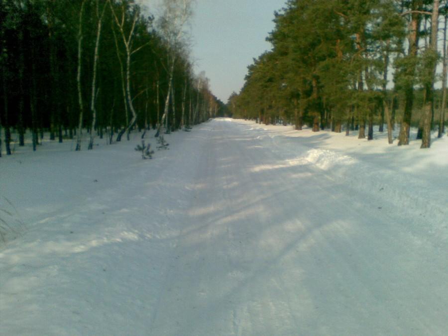 Droga l w lasach jarantowskich