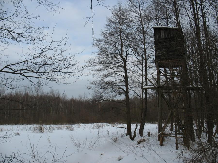 Ambona k/Małego Truskawia
