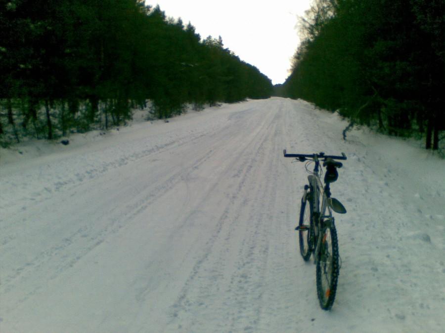 Droga jarantowska.