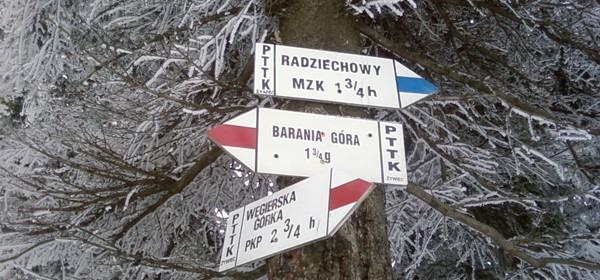 Przecinające się szlaki na Hali Radziechowskiej