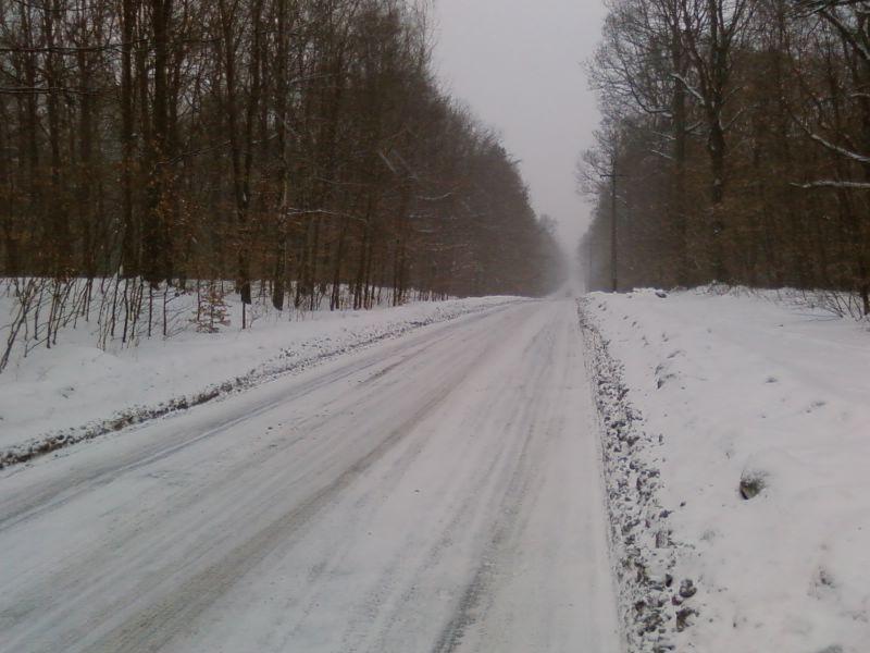 ul. Wycieczkowa