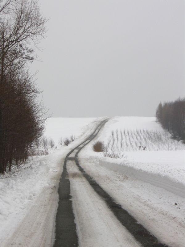 Przynajmniej trochę asfaltu.