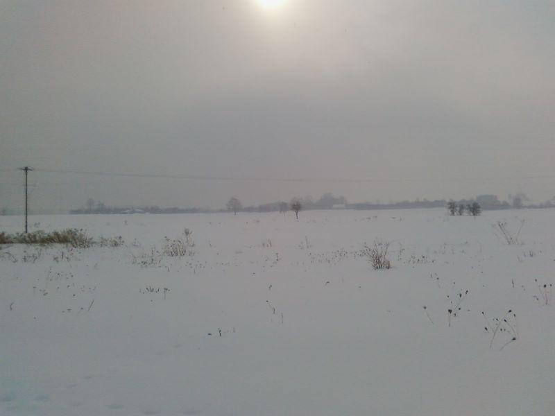 Biały świat