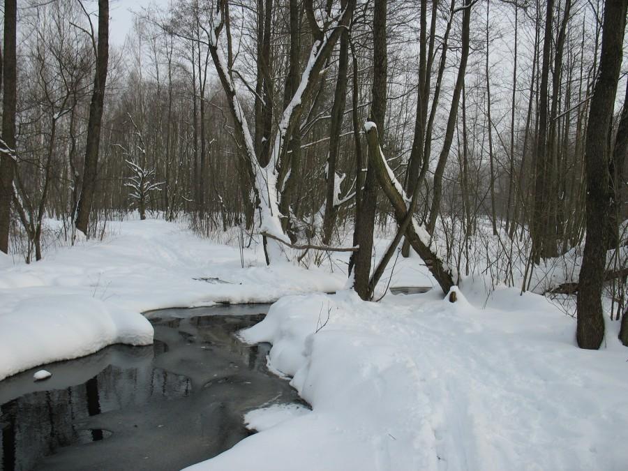 Górne Błota