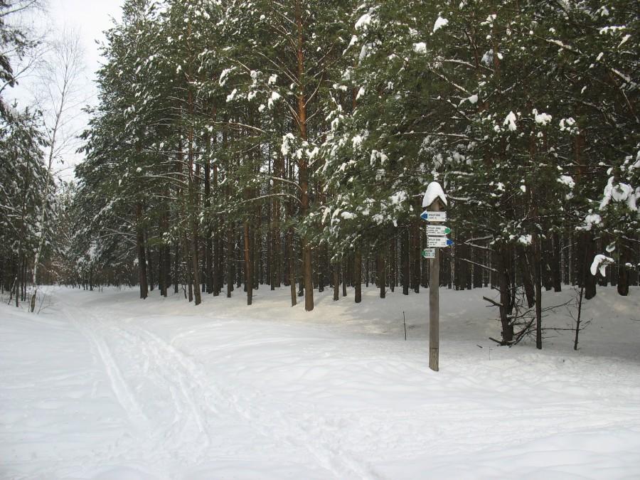 Wyględy Górne - skrzyżowanie szlaków.